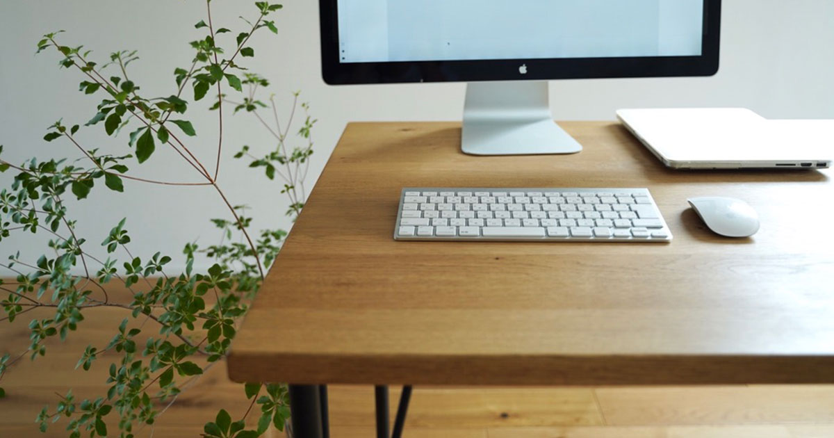 freee使いのひとり会社社長が一年を通して行う手続き【税理士無し】｜旅と仕事ジャーナル